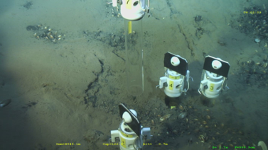 Victor 6000, en train de prélever le fond à l’aide de petites carottes de 60 cm de long.