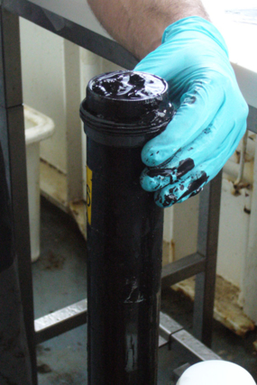 Les sédiments contenus dans les carottes sont noirs.