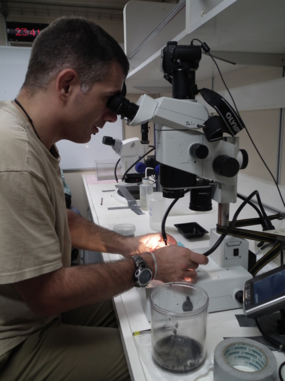 Stéphane observe les vers recueillis, afin d'en identifier la famille